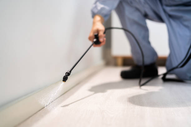 Licensed Pest Control service in Warrenton, VA - Show Me Pest Control