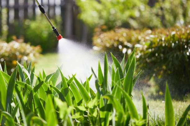 24/7 Emergency Wasp Removal experts in Warrenton, VA
