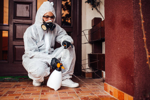 Reliable Wasp Removal contractor in Warrenton, VA by Show Me Pest Control