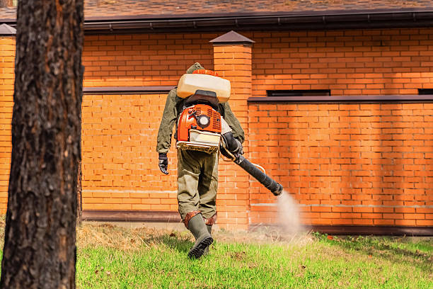 Top rated local Wasp Removal specialists in Warrenton, VA